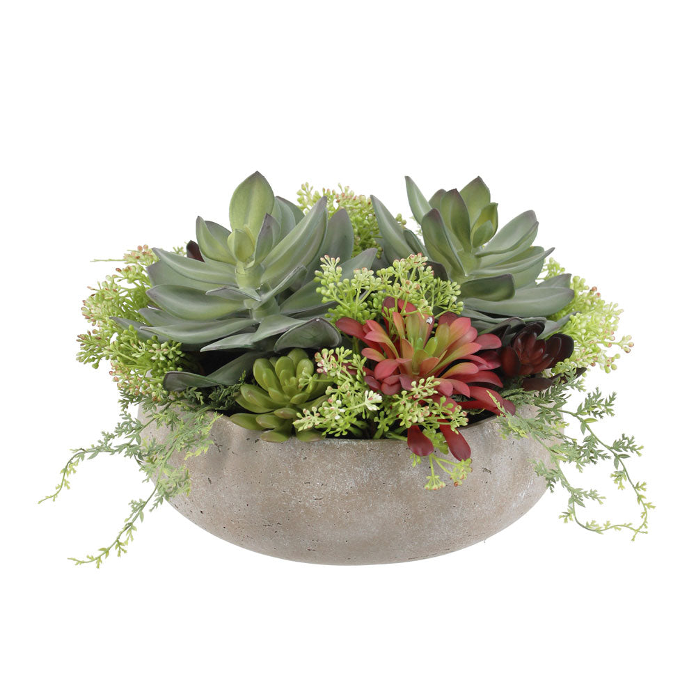 Round Succulent Arrangement  Natural Planter