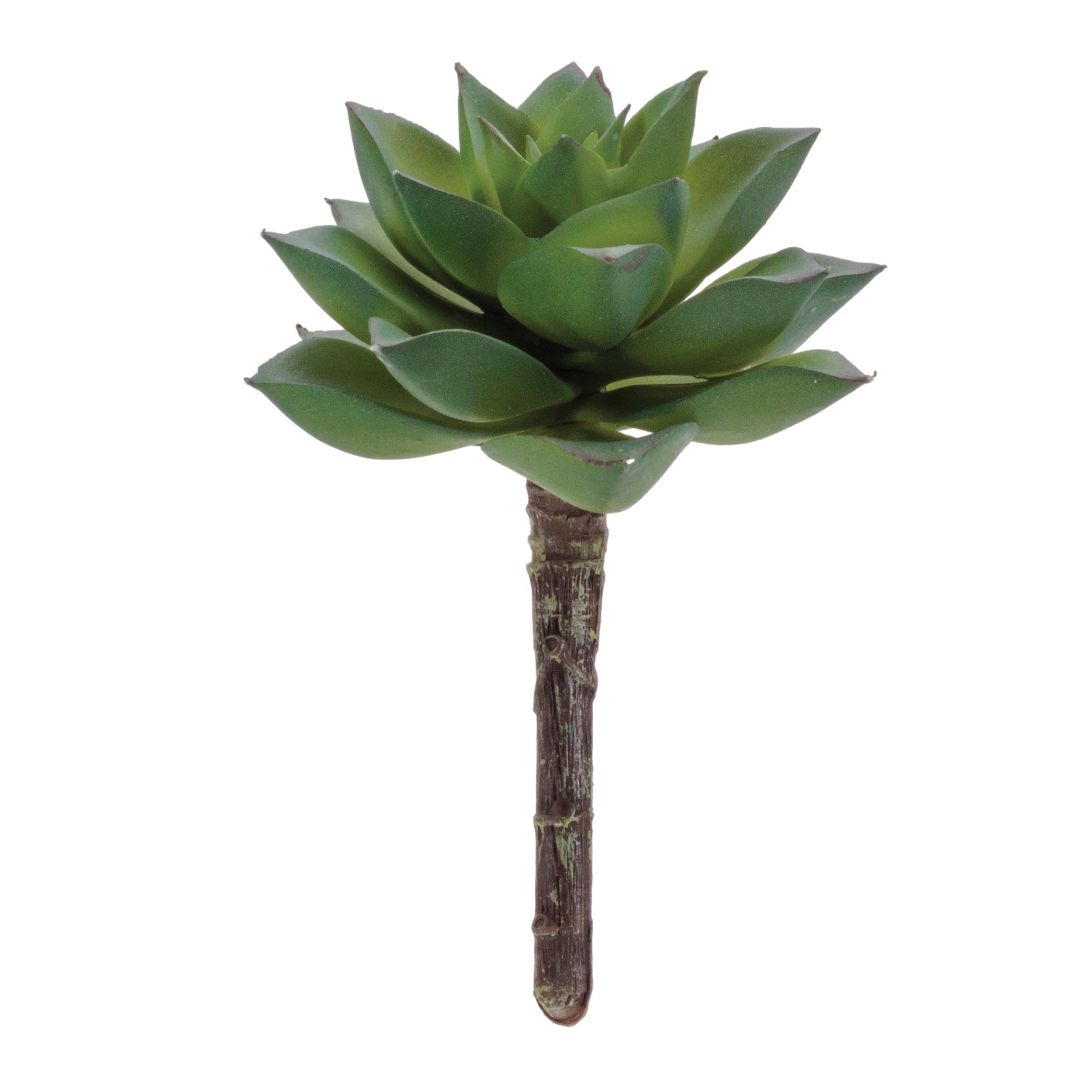 wax agave succulent Melrose Succulent Plant Pick (Set of 12)