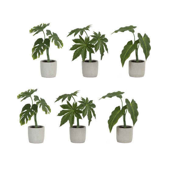 Assorted-Foliage-Plant-in-Grey-Pot,-Set-of-6-Faux-Florals