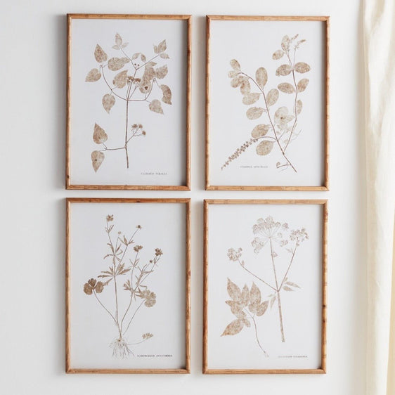 Bamboo-Framed-Encyclopedia-Floral-Print-Under-Glass,-Set-of-4-Wall-Art