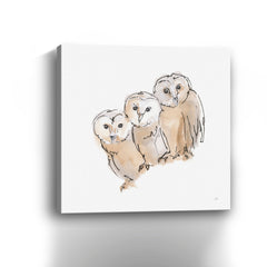 Barn Owl III Canvas Giclee - Pier 1