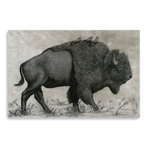 Basking-Buffalo-Canvas-Giclee-Wall-Art-Wall-Art
