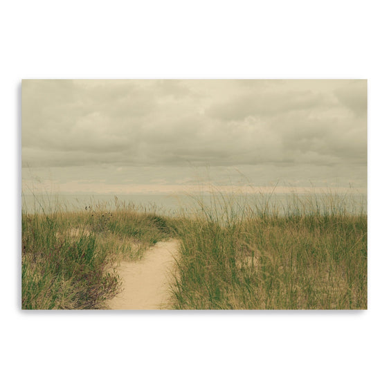 Beach Path Canvas Giclee - Pier 1