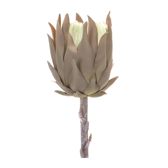 Beige-Protea-Stem,-Set-of-6-Faux-Florals