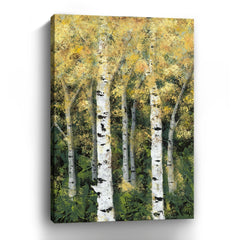 Birch Treeline II Canvas Giclee - Pier 1