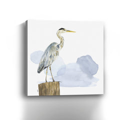 Birds of the Coast on White I Canvas Giclee - Pier 1