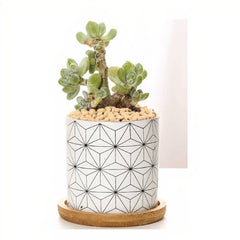 Black & White Geo Planters with Bamboo Trays, Set of 3 - Planters