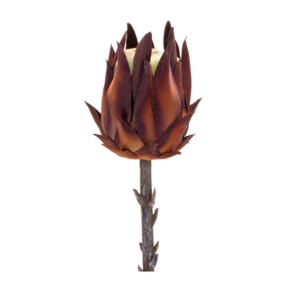 Burgundy-Protea-Stems,-Set-of-6-Faux-Florals