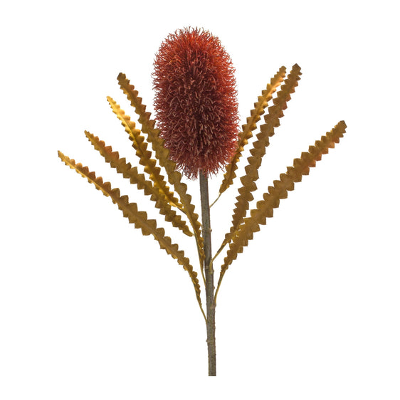 Burnt-Orange-Banksia-Floral-Stems,-Set-of-6-Faux-Florals