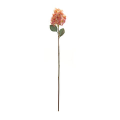 Coral Pink Cone Hydrangea Flower Stem (Set of 6) - Pier 1