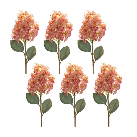 Coral Pink Cone Hydrangea Flower Stem (Set of 6) - Pier 1