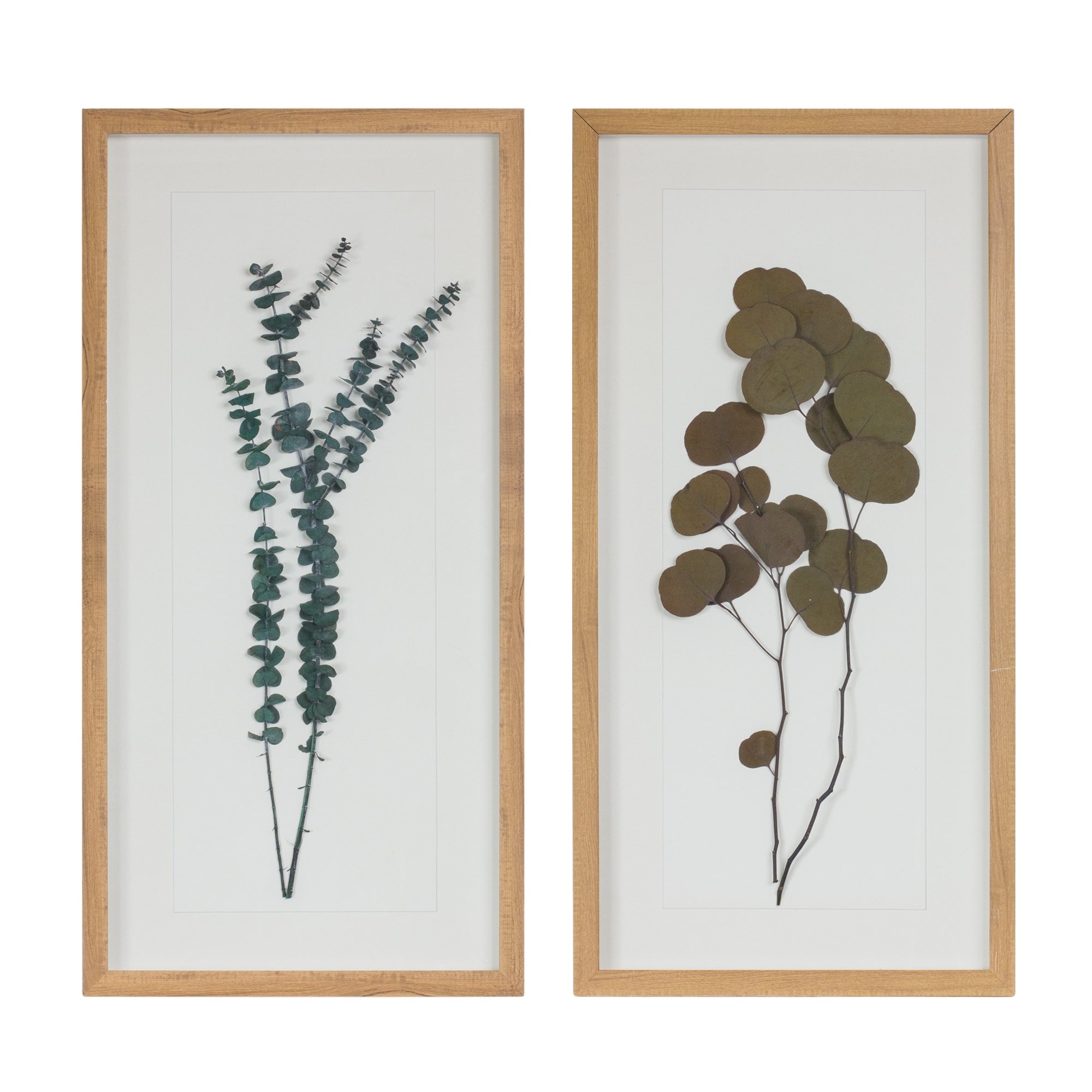 Dried-Eucalyptus-Frame,-Set-of-2-Wall-Art