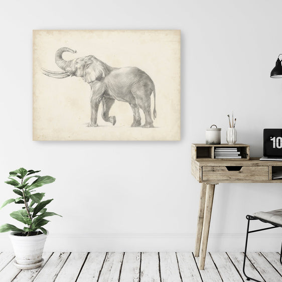 Elephant Sketch I Canvas Giclee - Pier 1