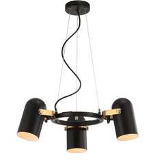 Eugenio Adjustable Metal LED Pendant, Black/Brass Gold - Pier 1