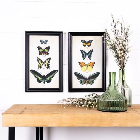 Framed-Encyclopedia-Butterfly-Print-Under-Glass,-Set-of-2-Wall-Art