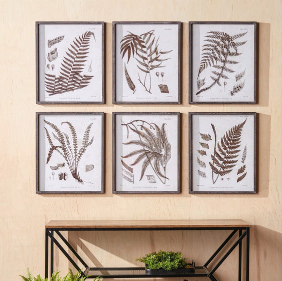 Framed-Fern-Print,-Set-of-6-Wall-Art