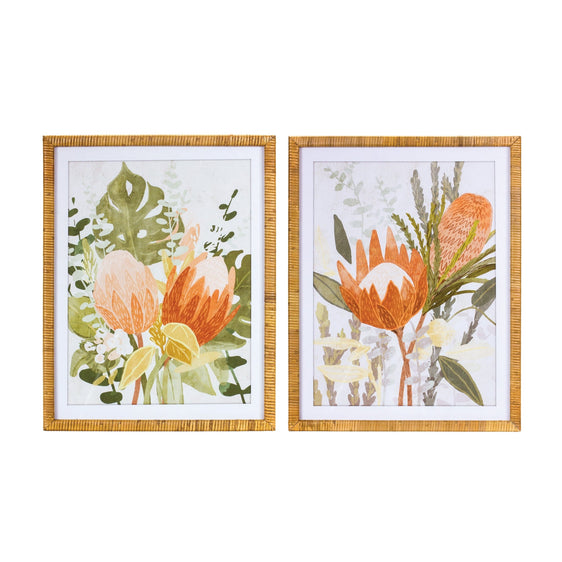 Framed-Protea-Floral-Wall-Art,-Set-of-2-Wall-Art
