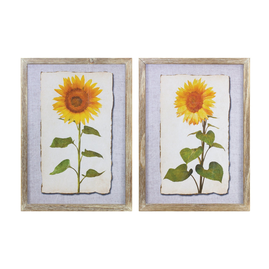 Framed-Sunflower-Print,-Set-of-2-Wall-Art