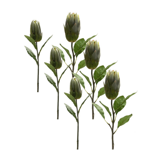 Green Protea Leaf Stem, Set of 6 - Pier 1