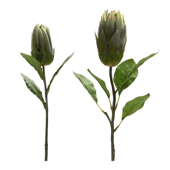 Green-Protea-Leaf-Stems,-Set-of-6-Faux-Florals