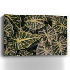 Greenery Abounds Canvas Giclee - Pier 1