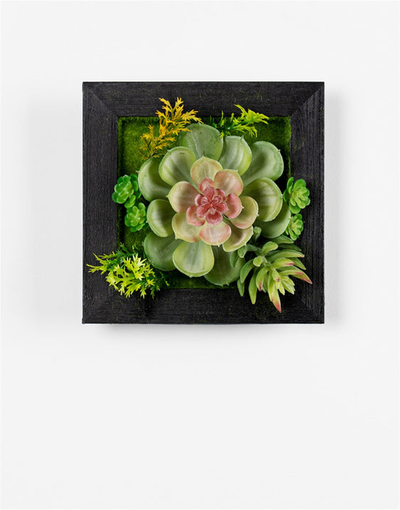 Hanging-Succulent-Box-Wall-Décor,-Set-of-6-Furniture