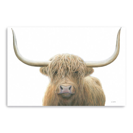 Highland-Cow-On-White-Canvas-Giclee-Wall-Art-Wall-Art