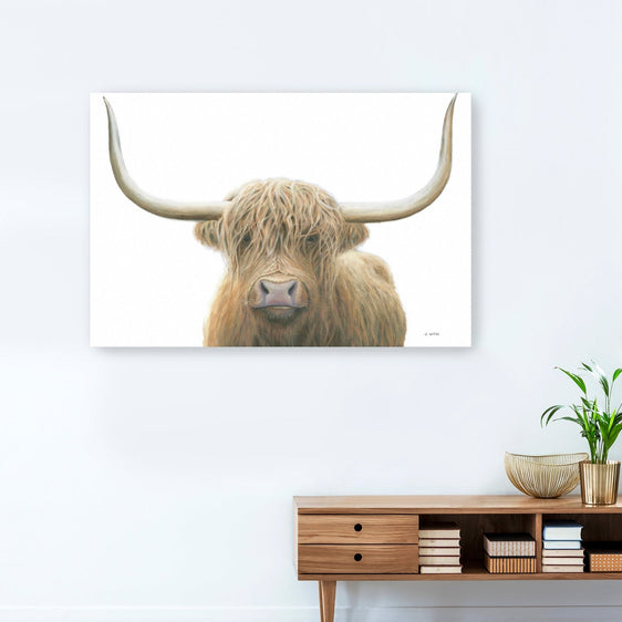 Highland Cow On White Canvas Giclee - Pier 1