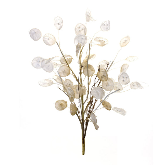 Ivory-Silver-Dollar-Eucalyptus-Spray,-Set-of-2-Faux-Florals