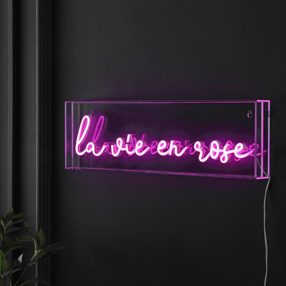 La-Vie-En-Rose-X-Contemporary-Glam-Acrylic-Box-USB-Operated-LED-Neon-Light-Decorative-Lighting