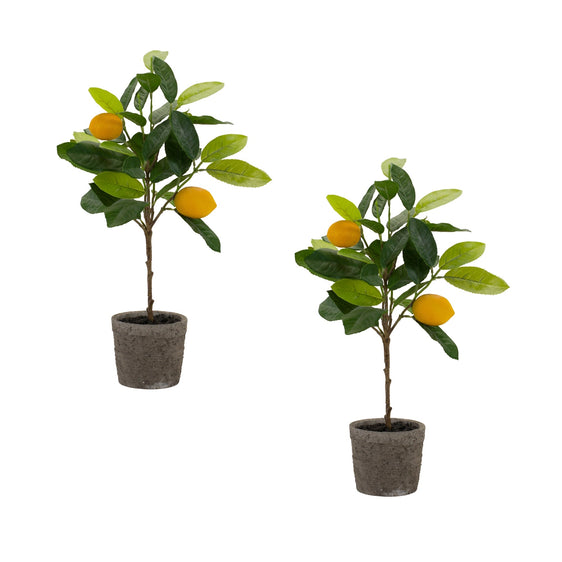 Lemon-Fruit-Silk-Tree-with-Pot,-Set-of-2-Faux-Florals