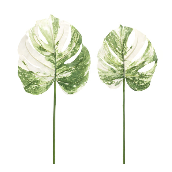 Light-Variegated-Philo-Leaf-Stems,-Set-of-12-Faux-Florals