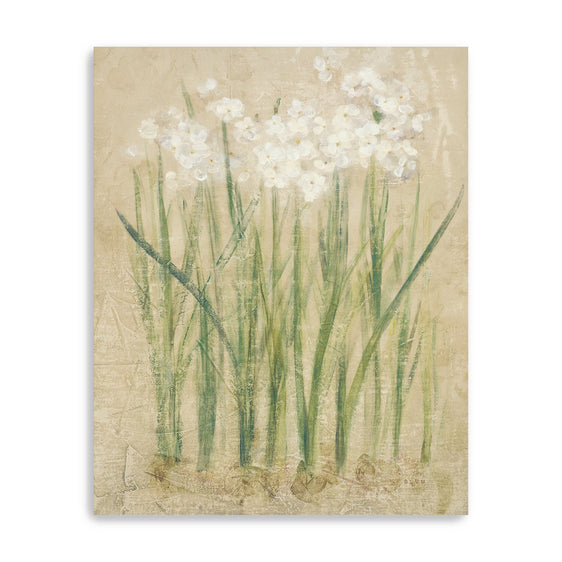 Narcissus-Cool-Canvas-Giclee-Wall-Art-Wall-Art