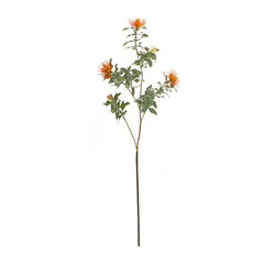 Orange Flocked Protea Spray, Set of 6 - Faux Florals