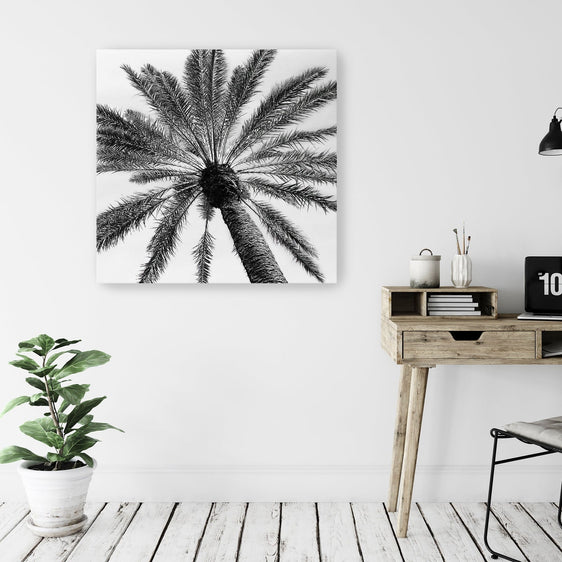 Skyward Palm Canvas Giclee - Wall Art
