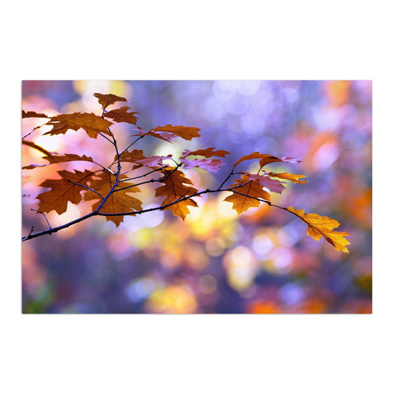 United-Colors-Of-Autumn-Canvas-Giclee-Wall-Art-Wall-Art