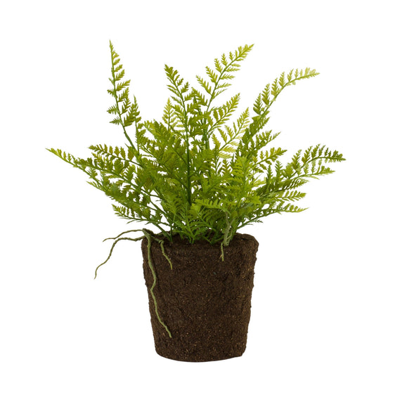 Variegated Fern Bush with Rooted Base, Set of 2 - Faux Florals