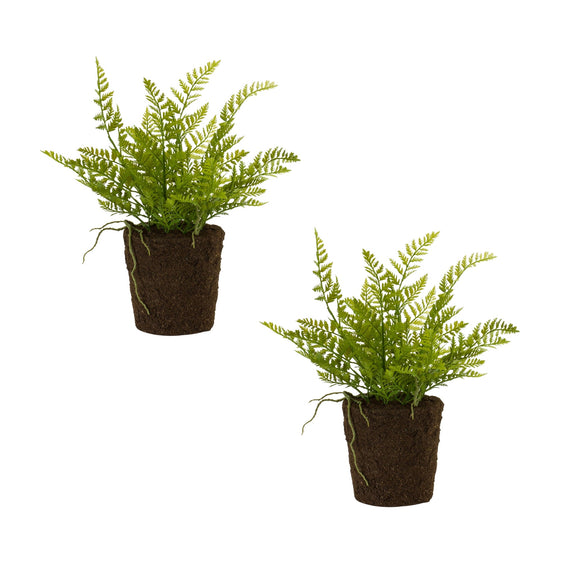 Variegated-Fern-Bush-with-Rooted-Base,-Set-of-2-Faux-Florals