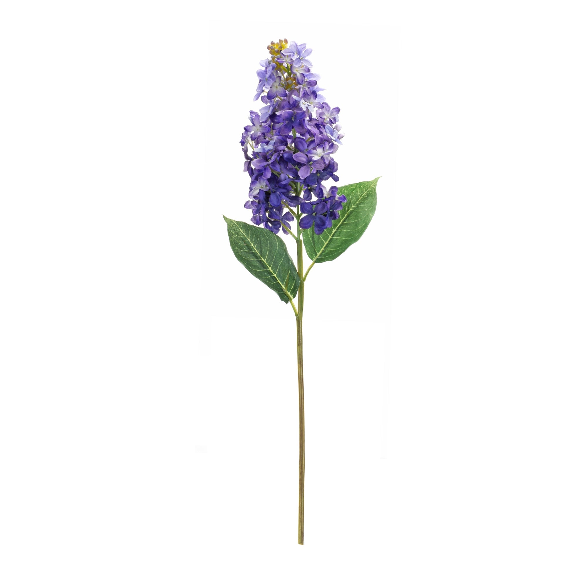 Variegated-Purple-Lilac-Flower-Stems,-Set-of-6-Faux-Florals