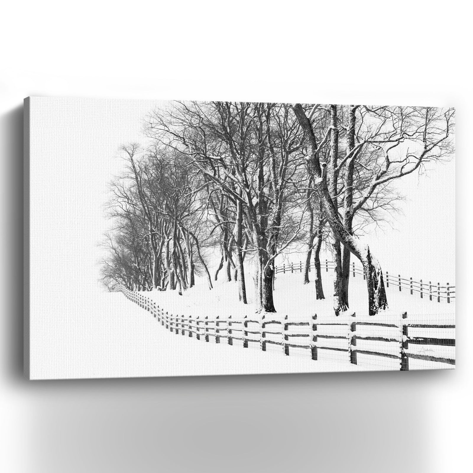 Winter Wonderland Canvas Giclee - Wall Art