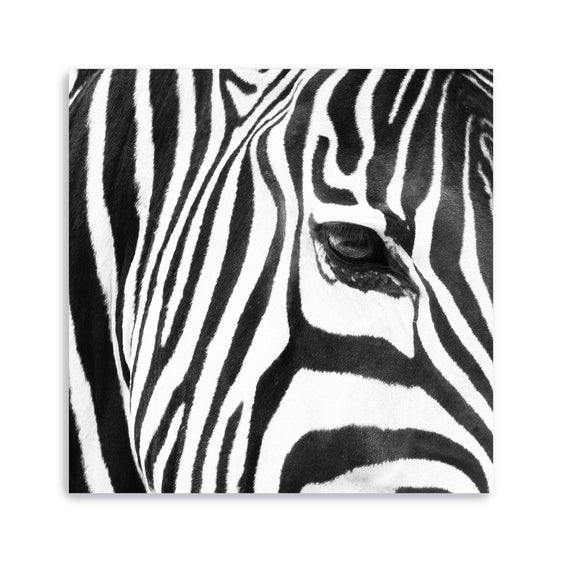 Zebra-Up-Close-Canvas-Giclee-Wall-Art-Wall-Art