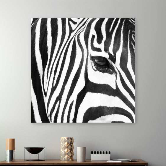 Zebra Up Close Canvas Giclee - Wall Art
