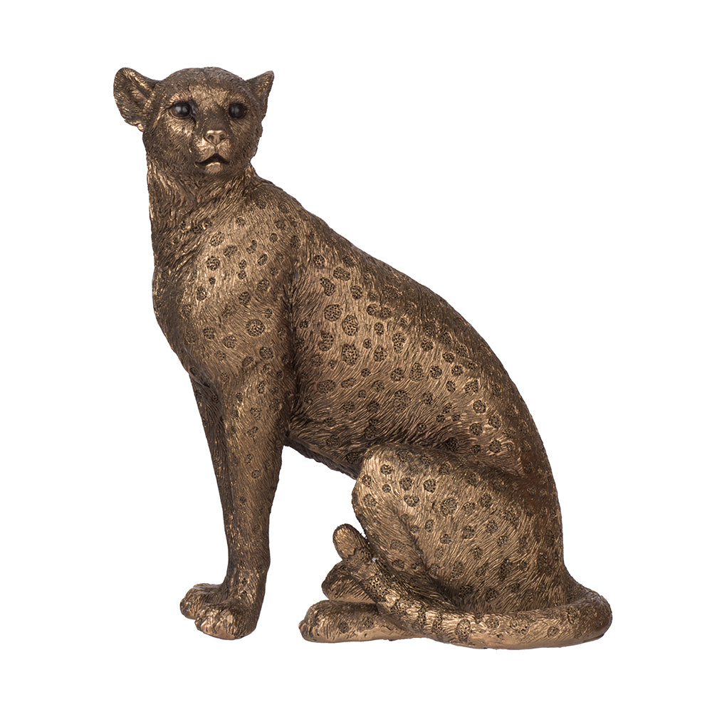 22937746