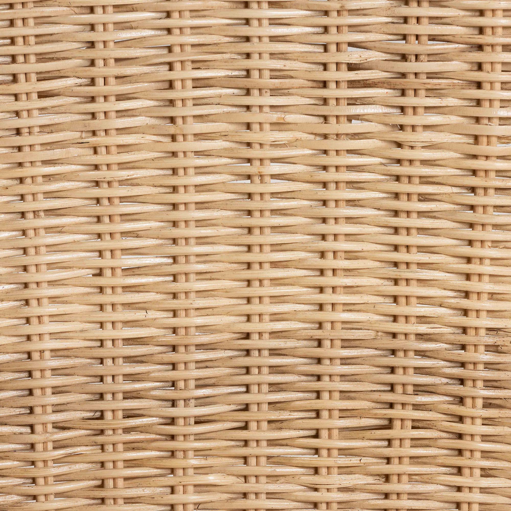 Sumatera Modern Bohemian Natural Brown Rattan Dining Chair, Set of 2