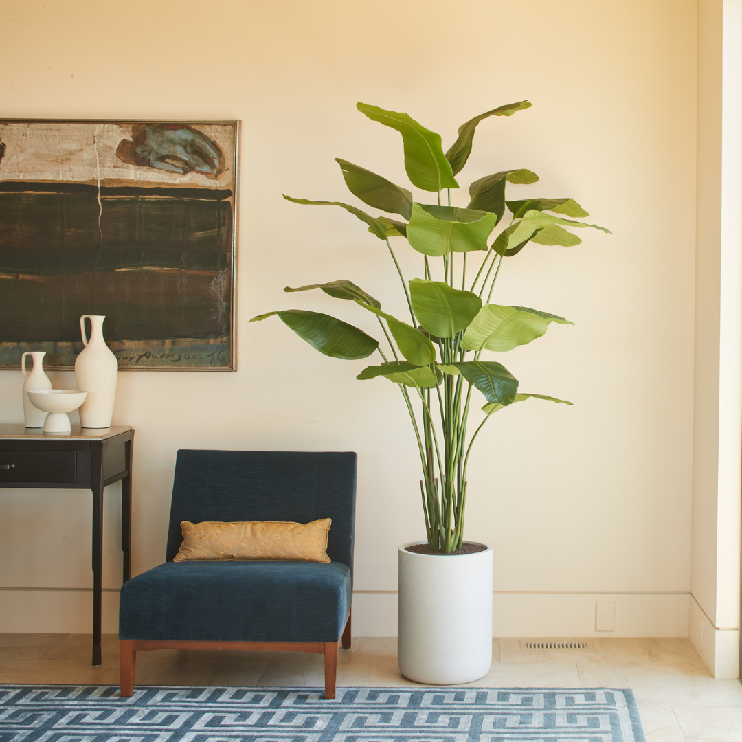 Faux Bird of Paradise with Pot, 8 ft