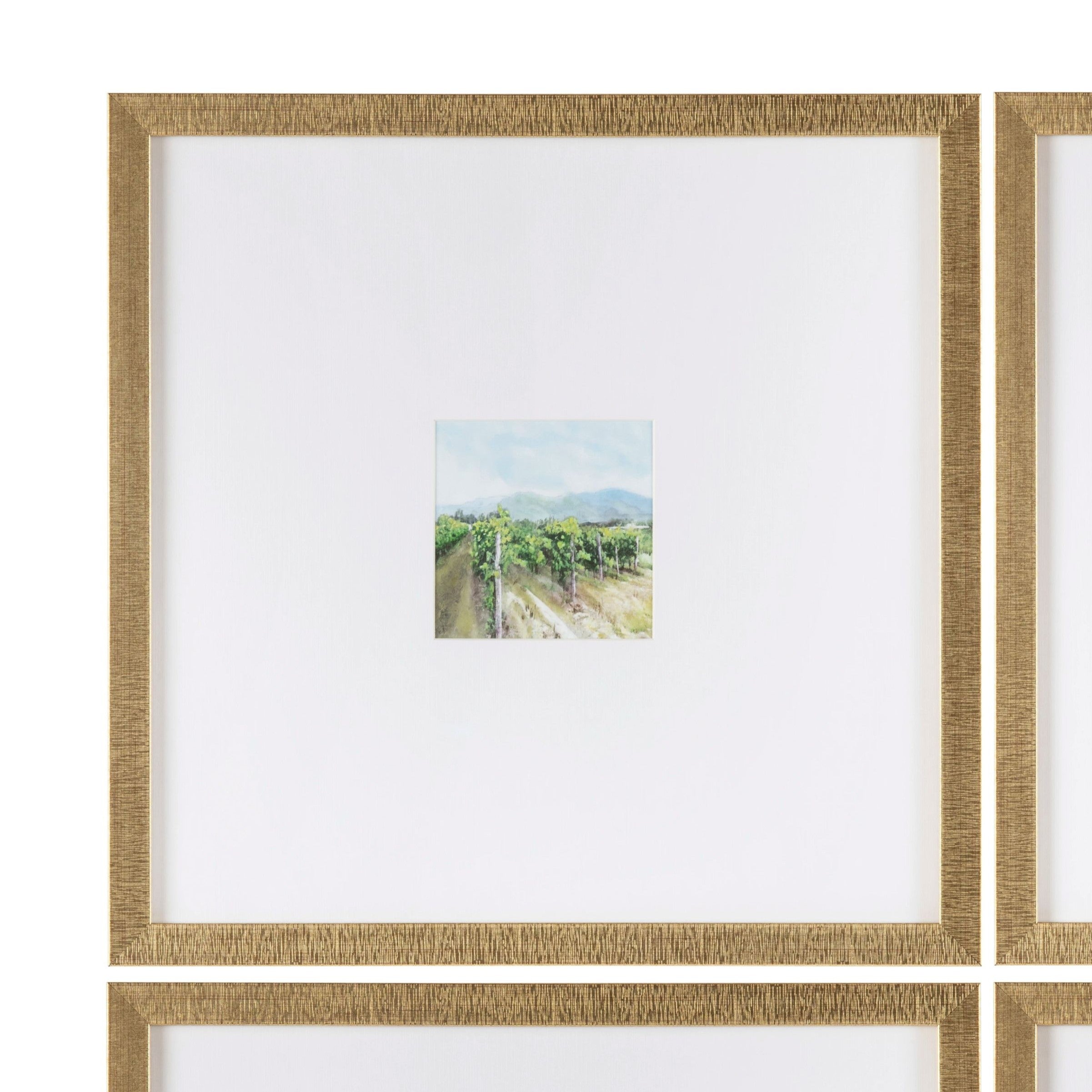 Vineyards 4 Mini Prints Under Glass
