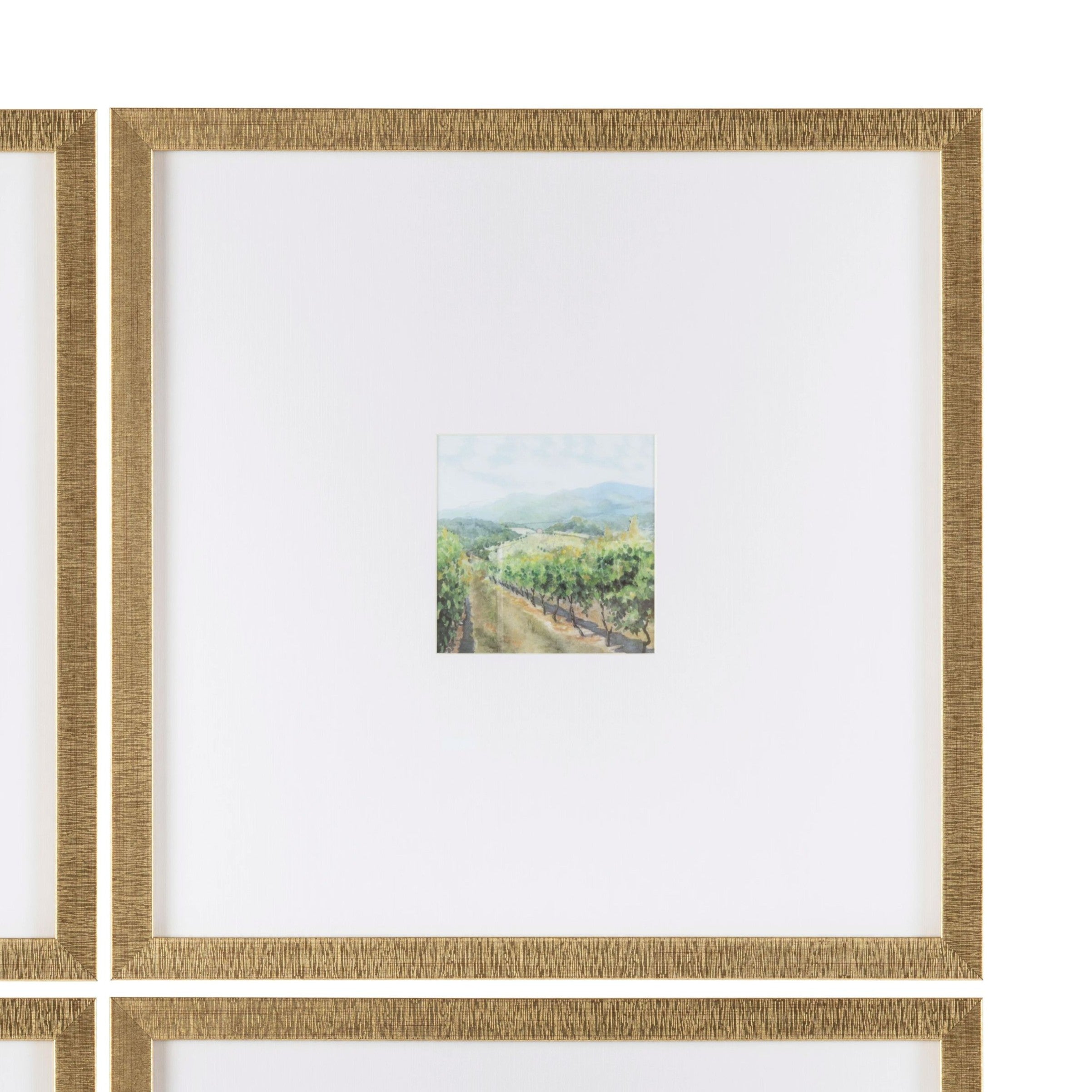 Vineyards 4 Mini Prints Under Glass