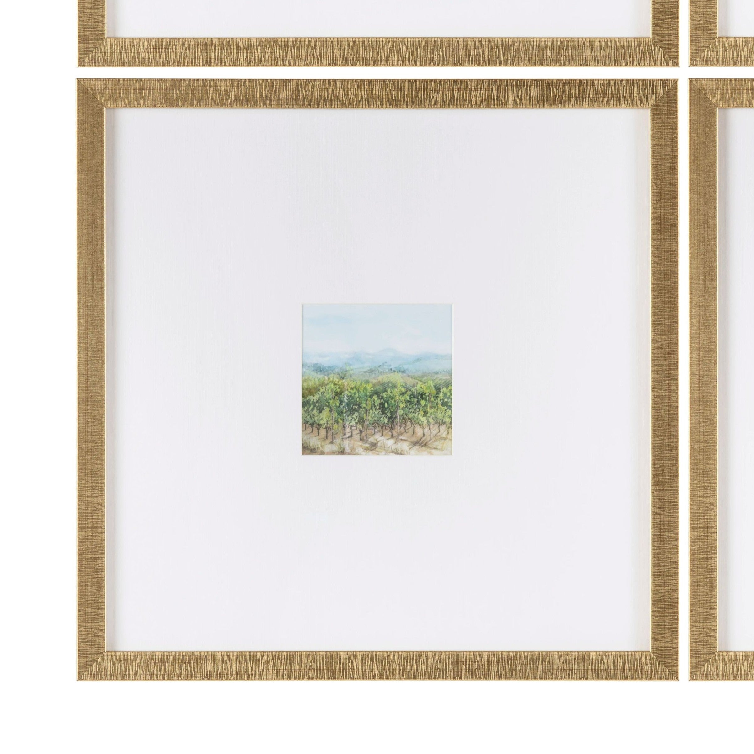 Vineyards 4 Mini Prints Under Glass