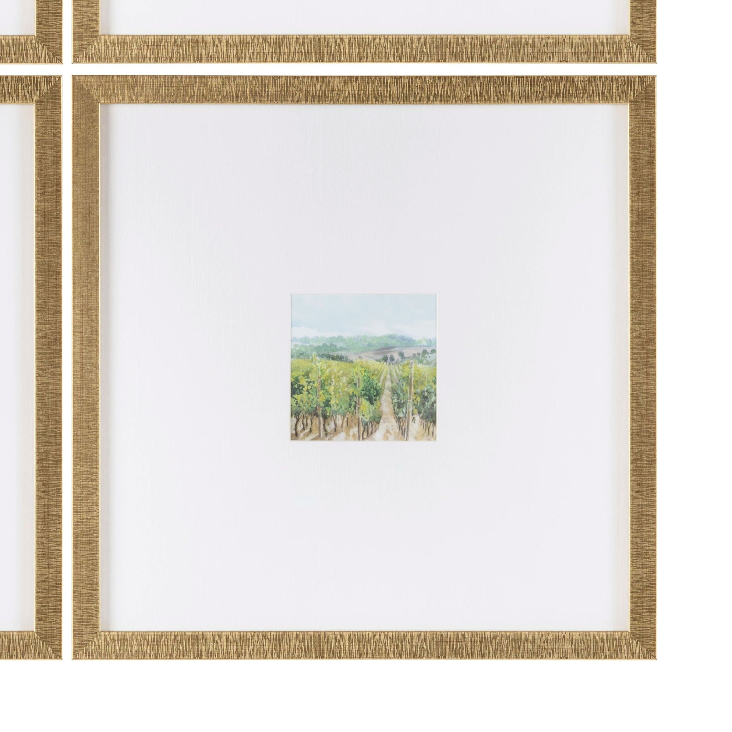 Vineyards 4 Mini Prints Under Glass