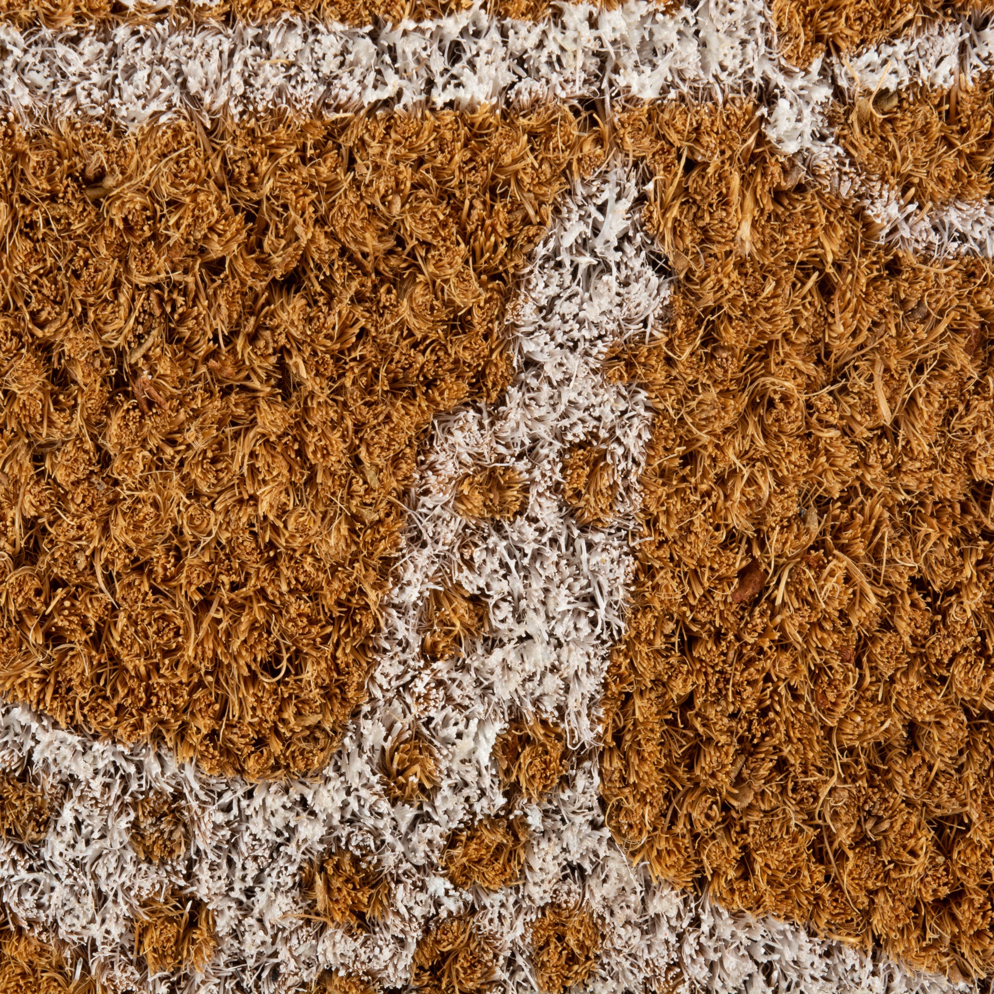 DII Welcome Seashells Coir Doormat, Non-Slip PVC Backing